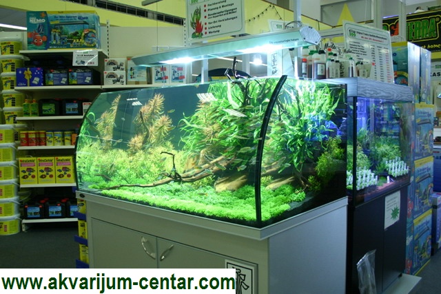 articles: akvarijumMH2.jpg articles: akvarijumMH2.jpg