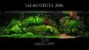 Otvori Album salmotruta.jpg